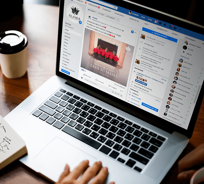 Hipnotika Proyecto #4